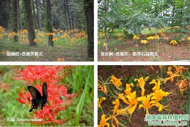 AG旗舰厅(中国游)官方网站