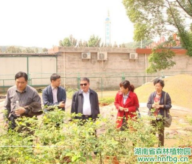 AG旗舰厅(中国游)官方网站