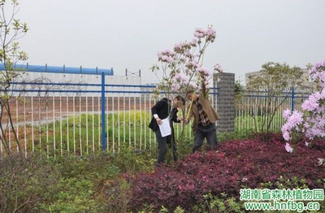 AG旗舰厅(中国游)官方网站