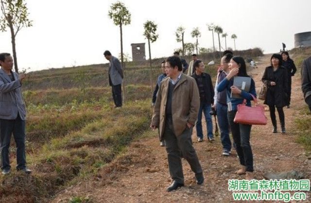 AG旗舰厅(中国游)官方网站