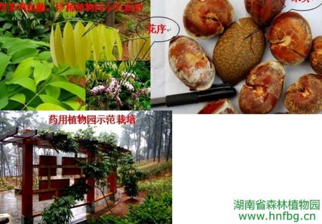 AG旗舰厅(中国游)官方网站