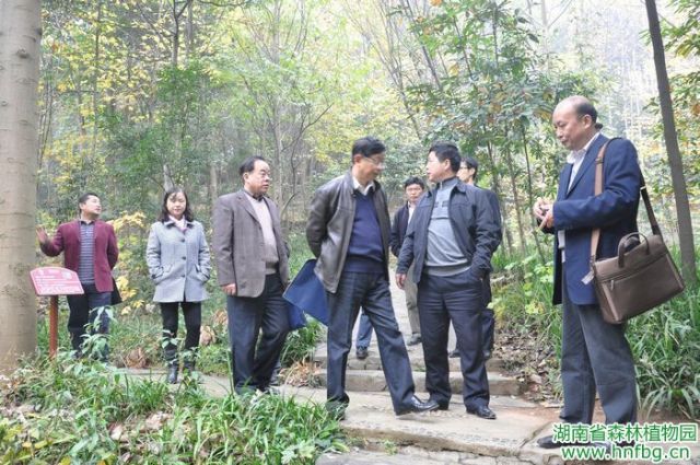 AG旗舰厅(中国游)官方网站