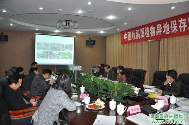 AG旗舰厅(中国游)官方网站