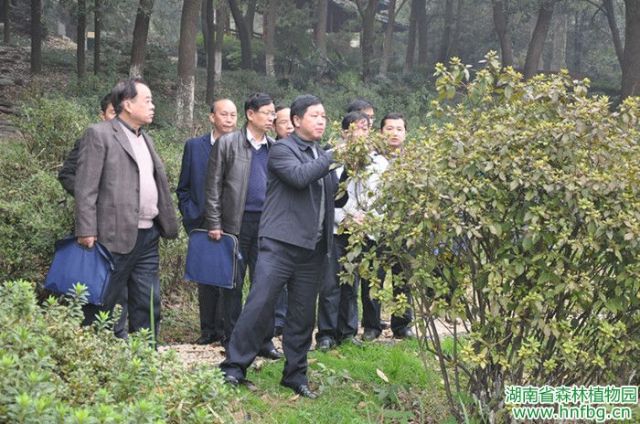 AG旗舰厅(中国游)官方网站