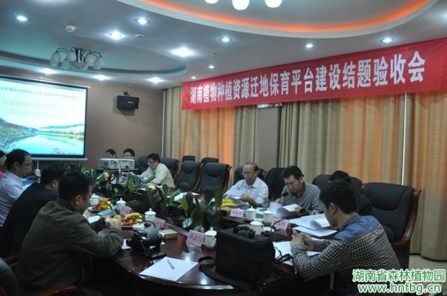 AG旗舰厅(中国游)官方网站