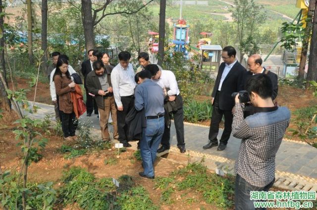 AG旗舰厅(中国游)官方网站