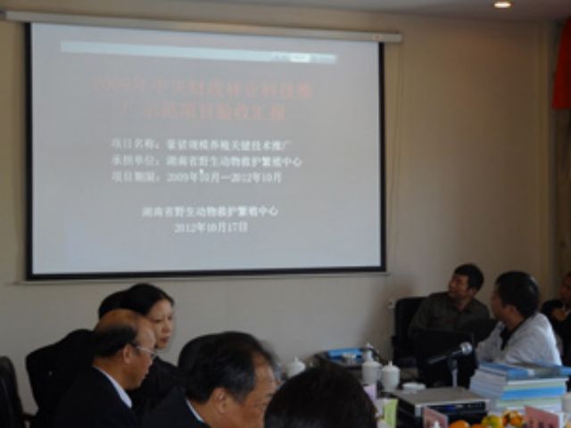 AG旗舰厅(中国游)官方网站