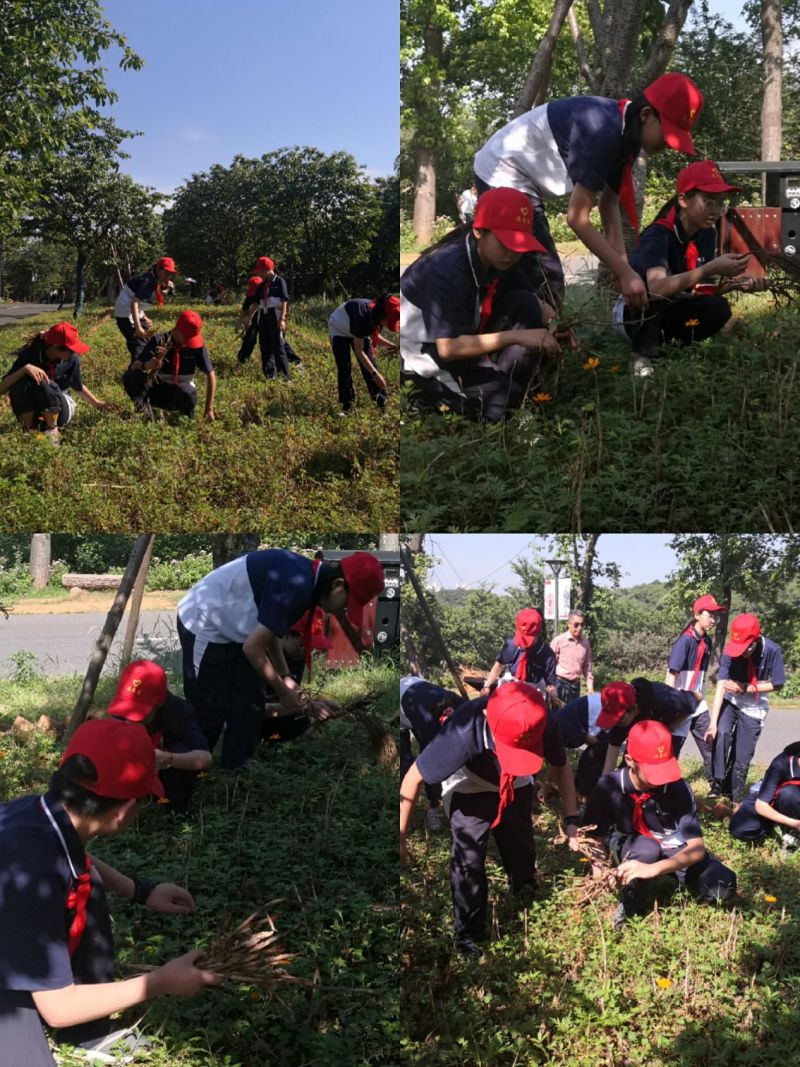 AG旗舰厅(中国游)官方网站