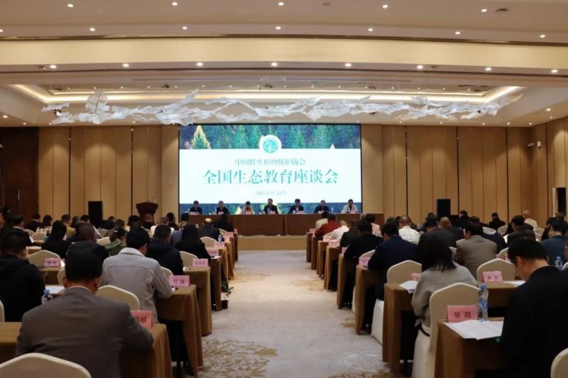 AG旗舰厅(中国游)官方网站