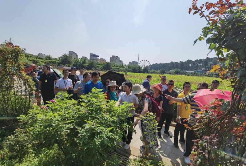 AG旗舰厅(中国游)官方网站