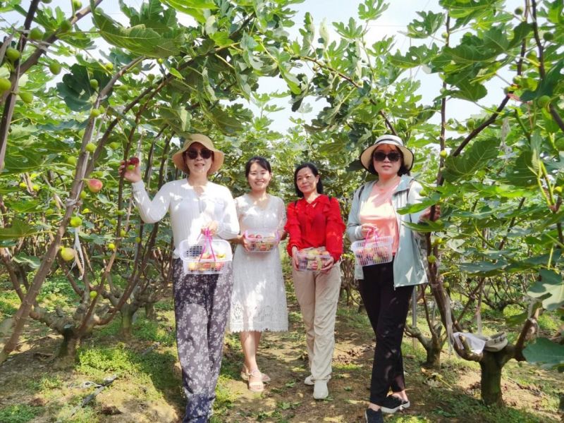 AG旗舰厅(中国游)官方网站