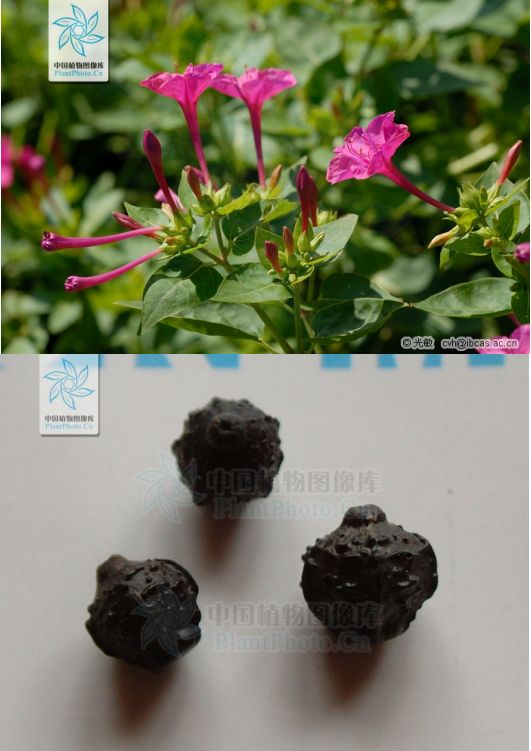 AG旗舰厅(中国游)官方网站