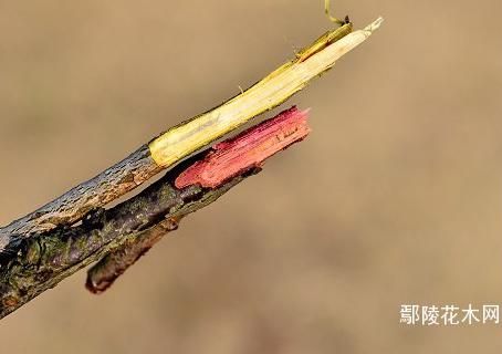 AG旗舰厅(中国游)官方网站