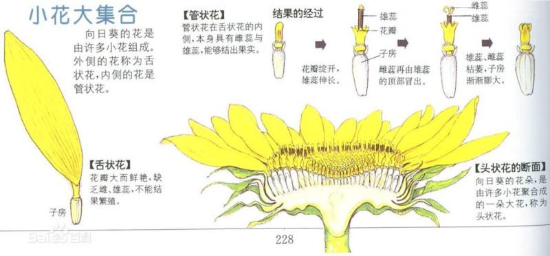 AG旗舰厅(中国游)官方网站