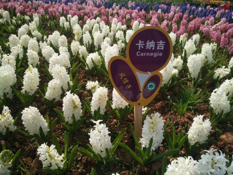 AG旗舰厅(中国游)官方网站