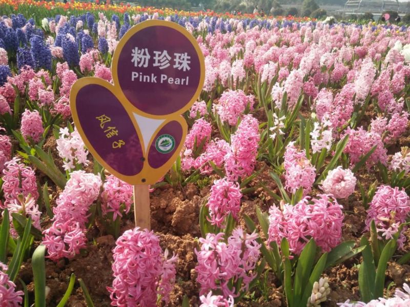AG旗舰厅(中国游)官方网站