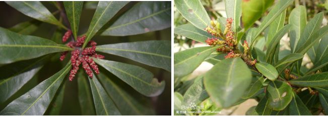 AG旗舰厅(中国游)官方网站