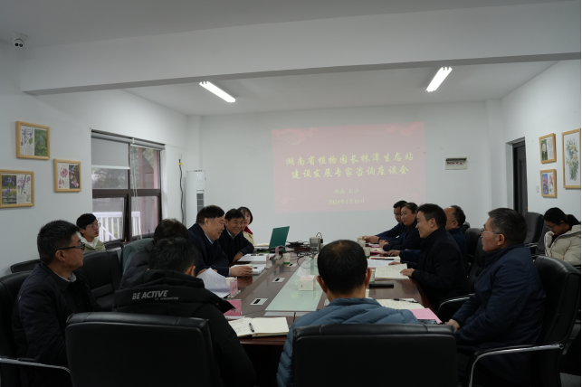 AG旗舰厅(中国游)官方网站
