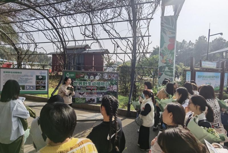 AG旗舰厅(中国游)官方网站