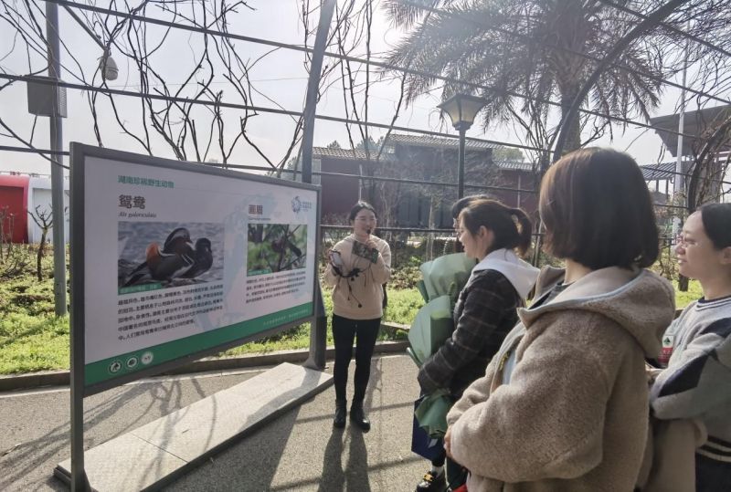 AG旗舰厅(中国游)官方网站