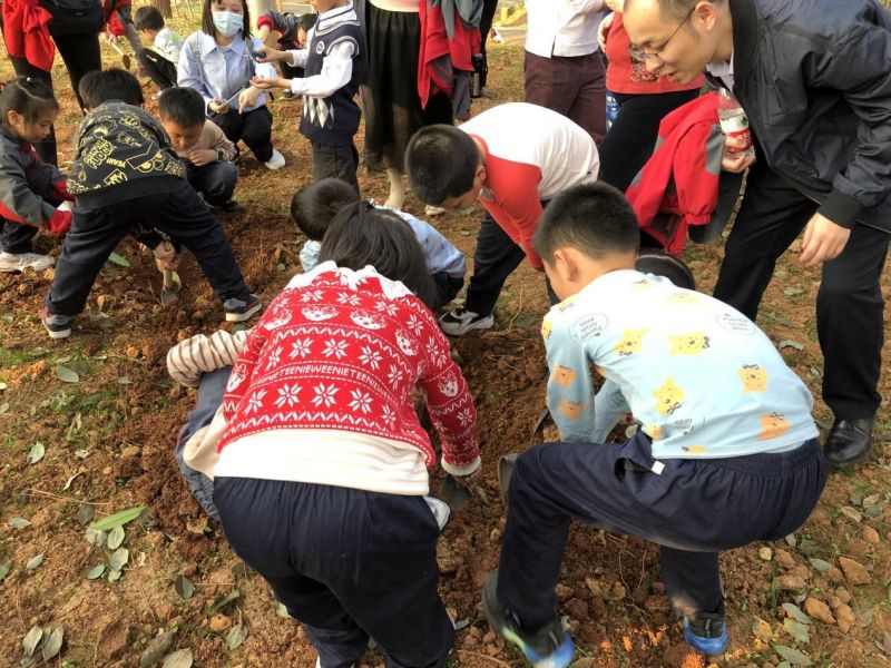AG旗舰厅(中国游)官方网站