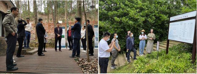 AG旗舰厅(中国游)官方网站