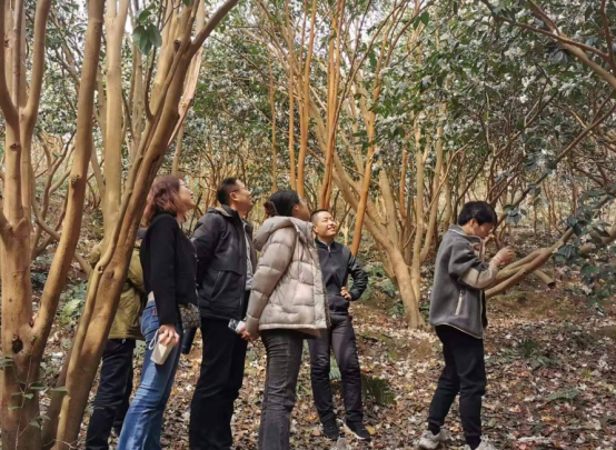 AG旗舰厅(中国游)官方网站