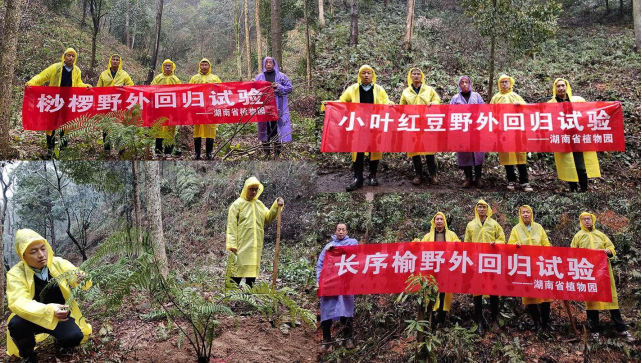 AG旗舰厅(中国游)官方网站