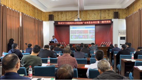 AG旗舰厅(中国游)官方网站