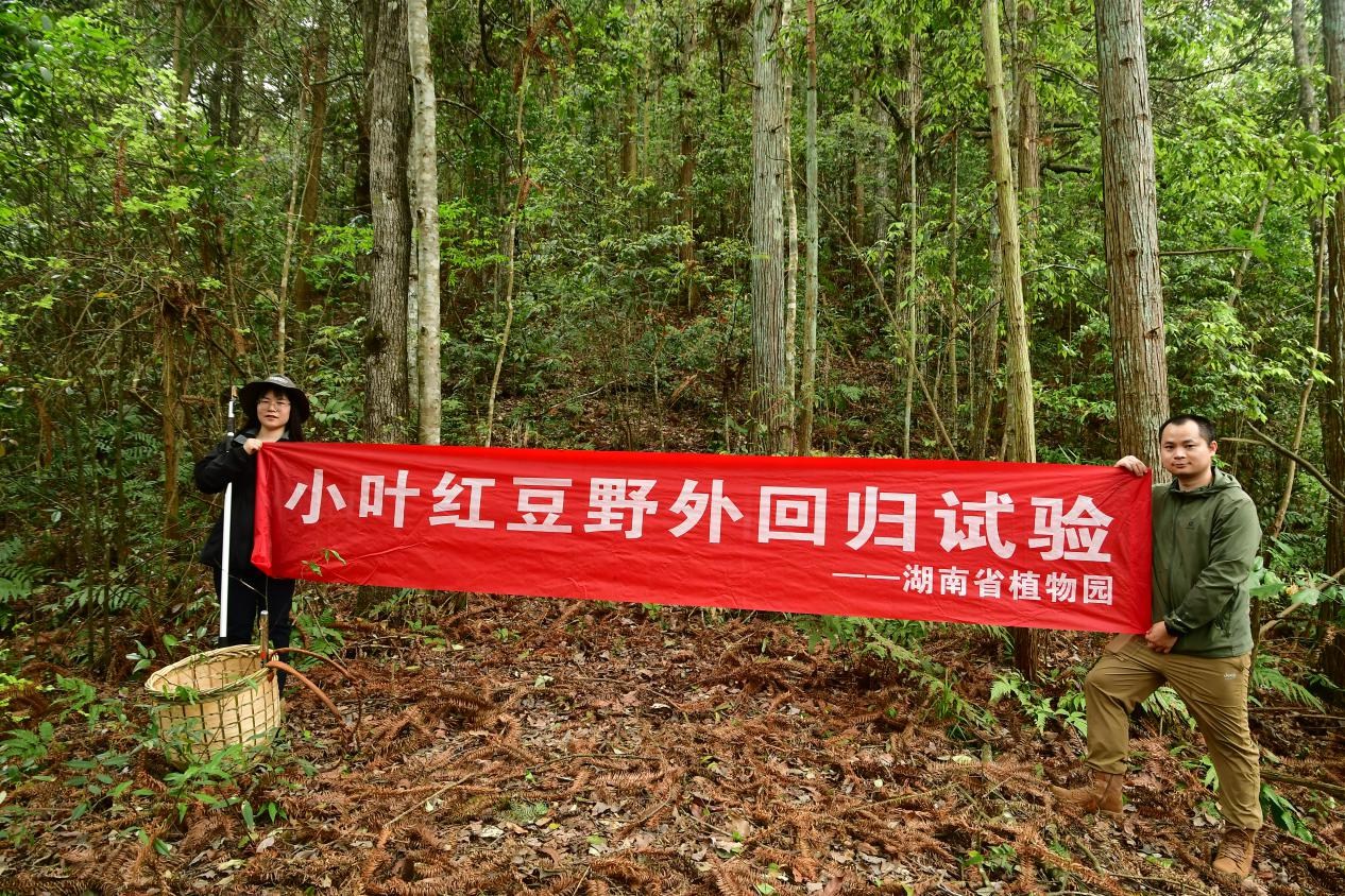 AG旗舰厅(中国游)官方网站