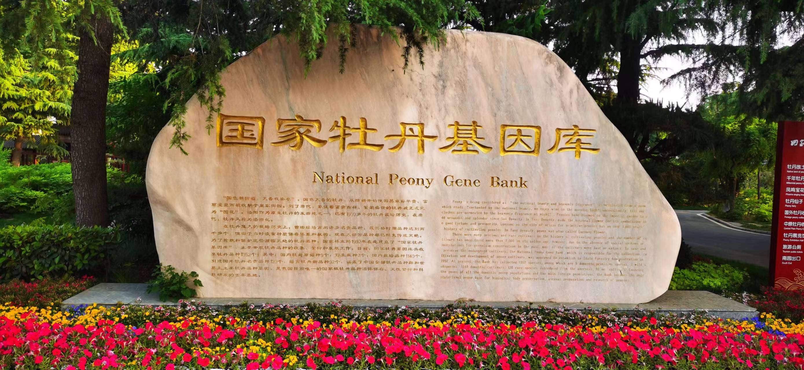 AG旗舰厅(中国游)官方网站