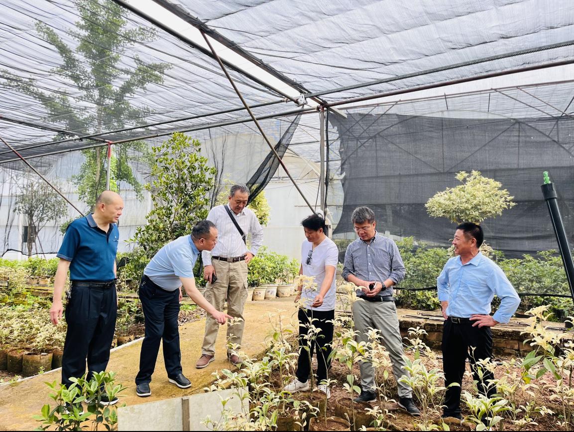 AG旗舰厅(中国游)官方网站