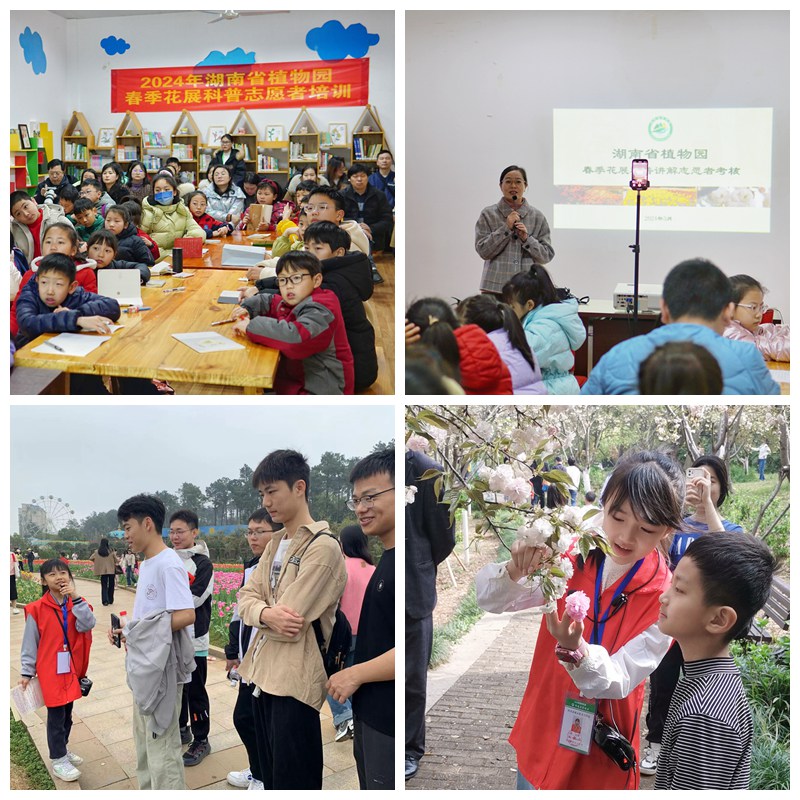 AG旗舰厅(中国游)官方网站