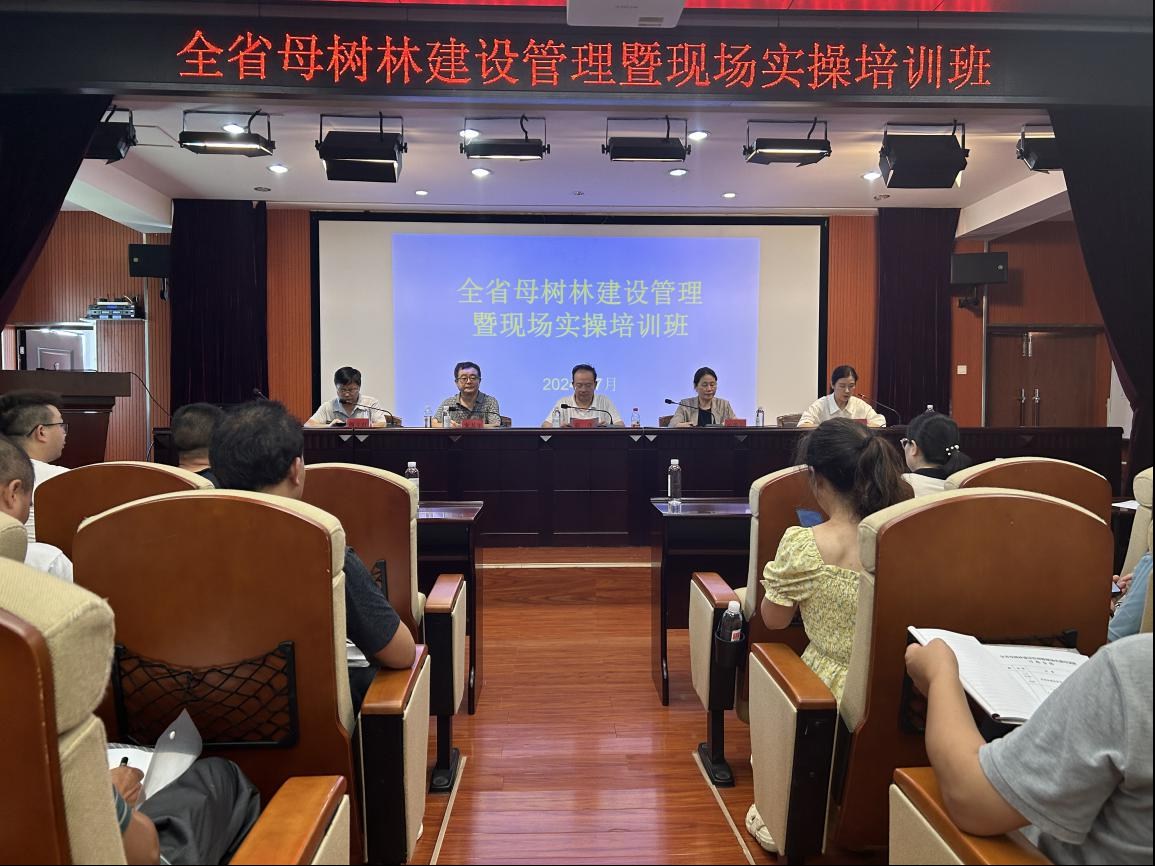 AG旗舰厅(中国游)官方网站
