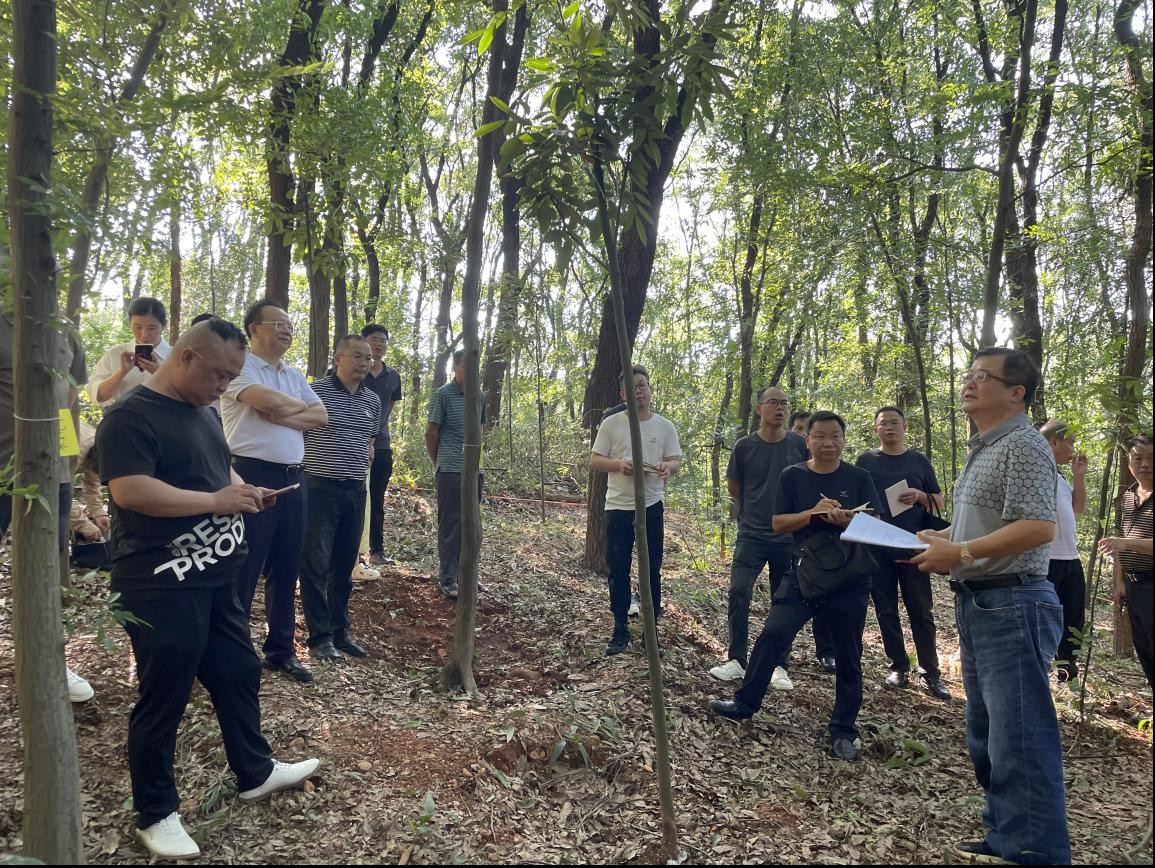 AG旗舰厅(中国游)官方网站