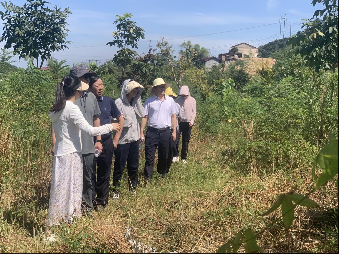 AG旗舰厅(中国游)官方网站