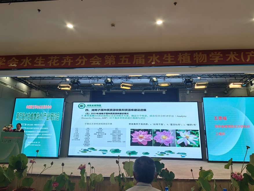 AG旗舰厅(中国游)官方网站