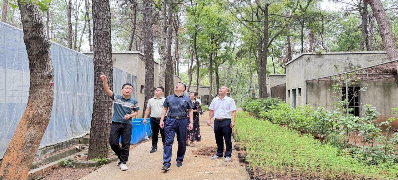 AG旗舰厅(中国游)官方网站
