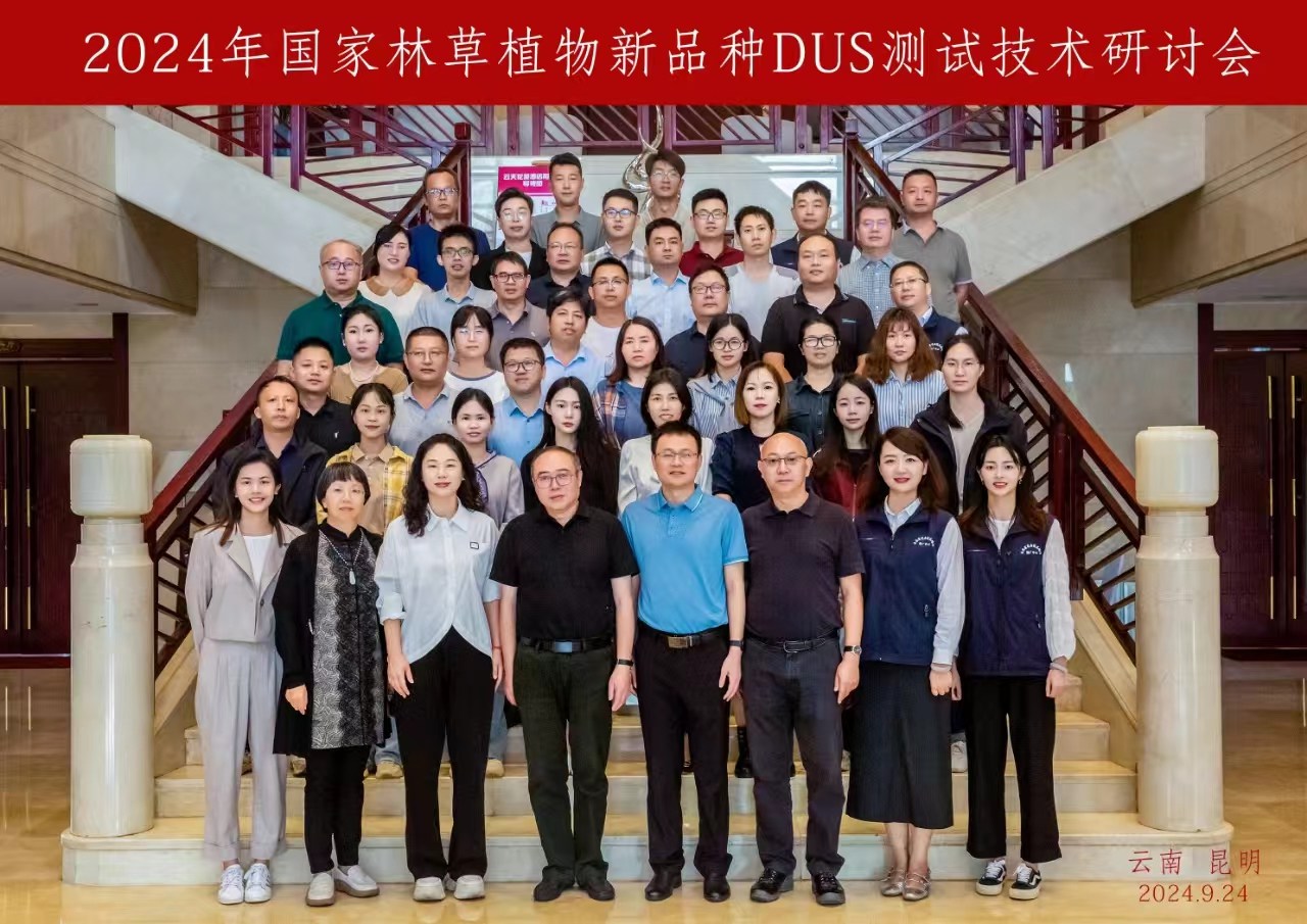 AG旗舰厅(中国游)官方网站