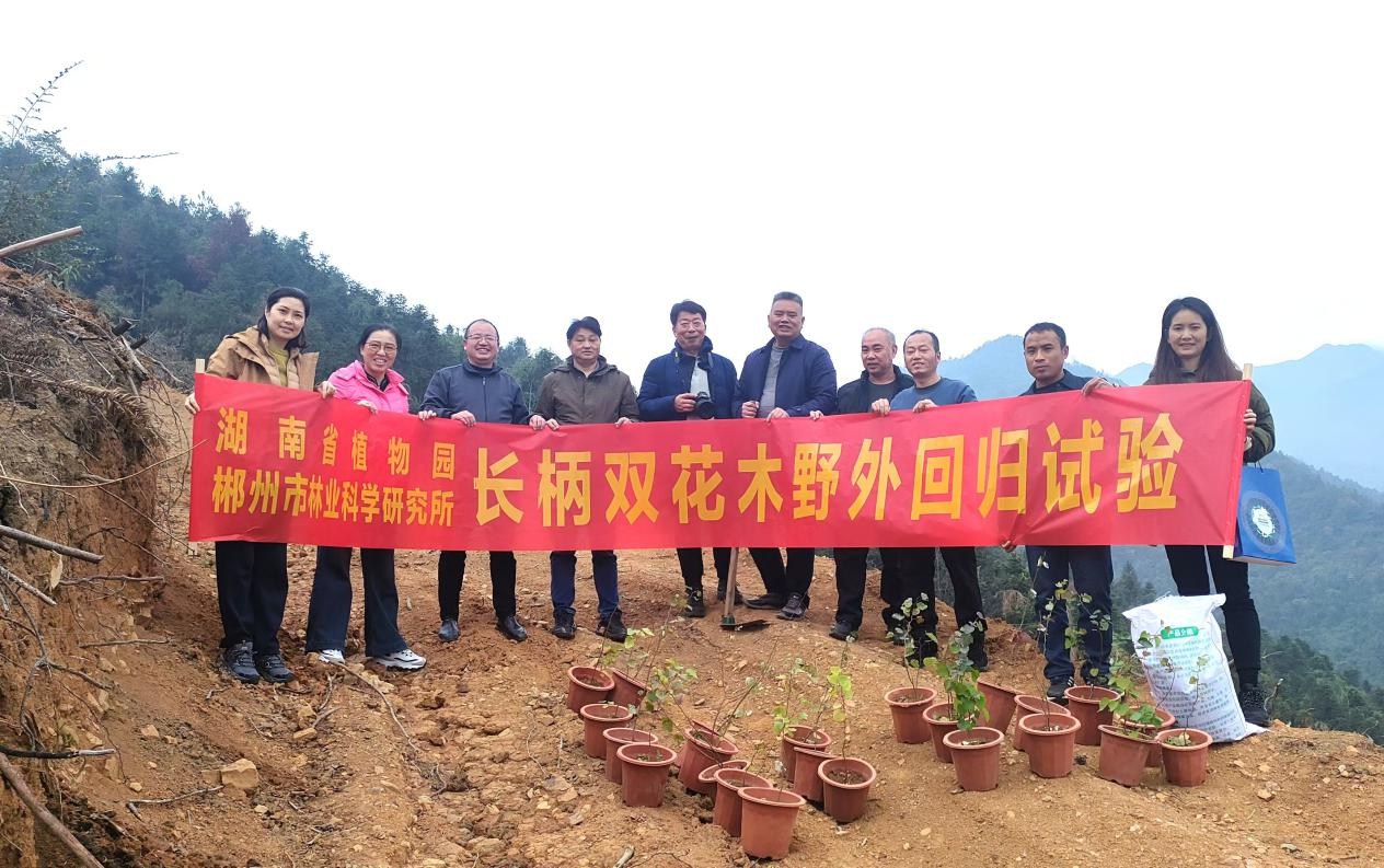 AG旗舰厅(中国游)官方网站