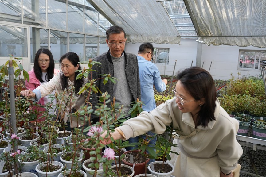 AG旗舰厅(中国游)官方网站