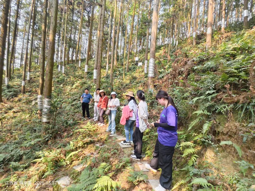 AG旗舰厅(中国游)官方网站