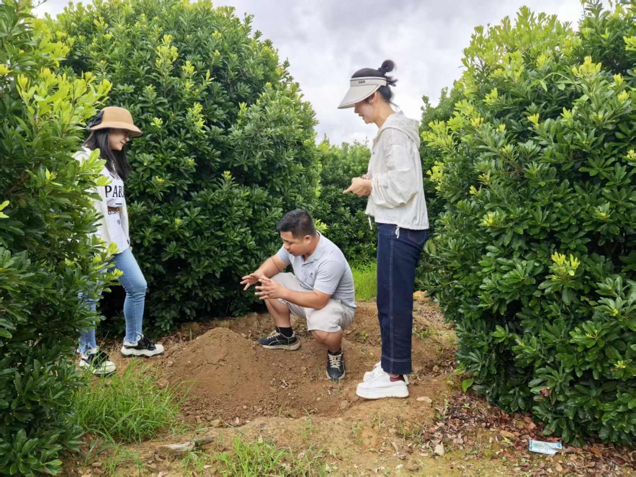 AG旗舰厅(中国游)官方网站