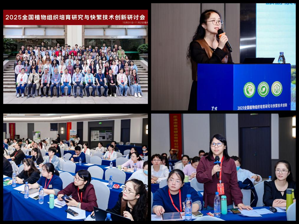 AG旗舰厅(中国游)官方网站
