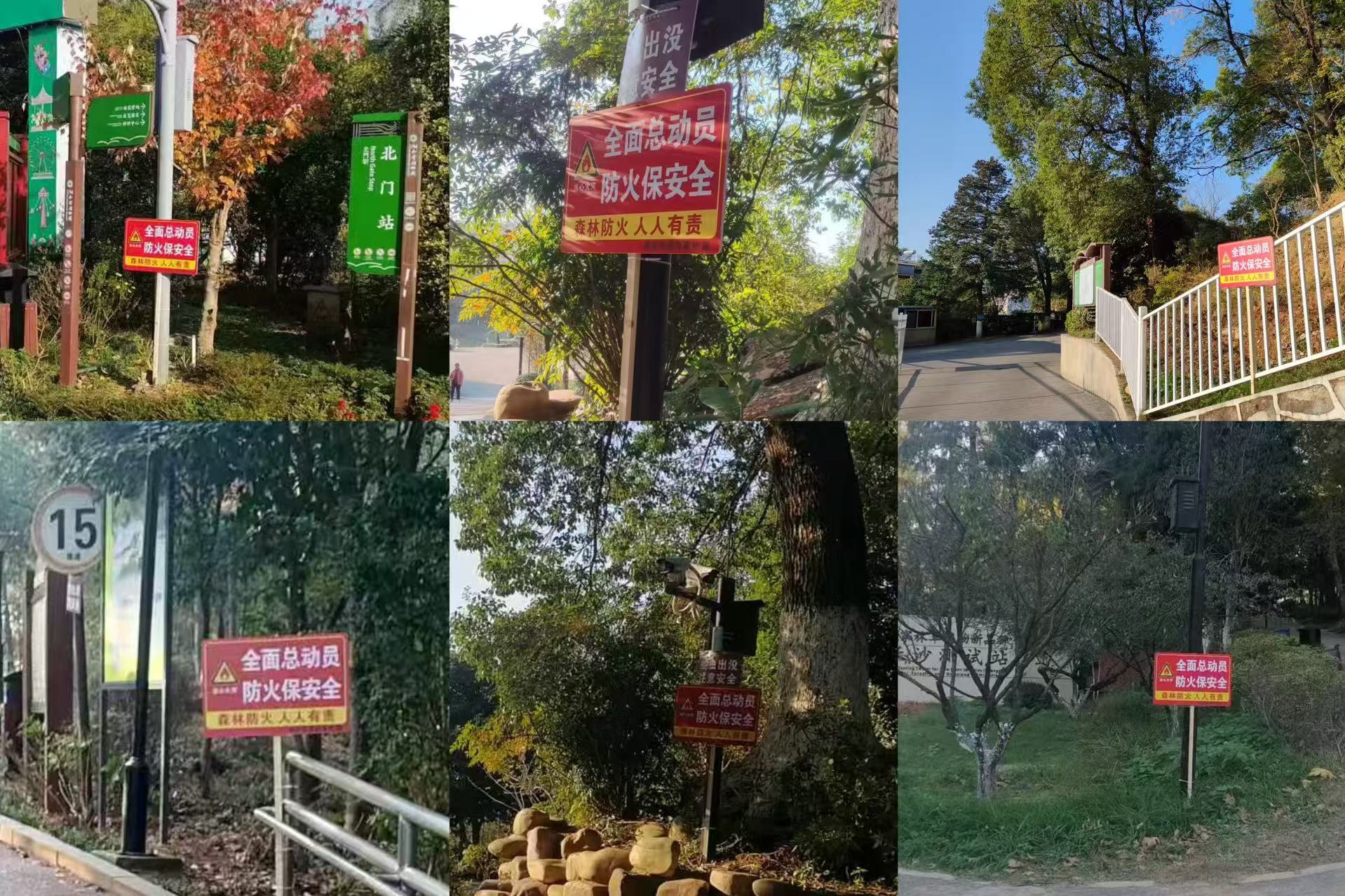 AG旗舰厅(中国游)官方网站