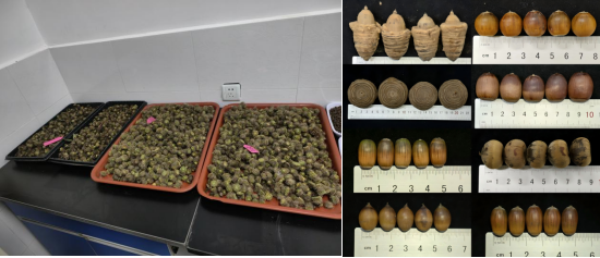 AG旗舰厅(中国游)官方网站
