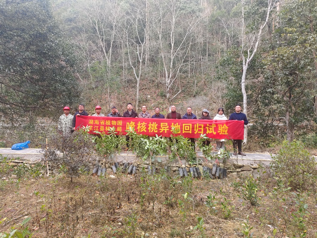 AG旗舰厅(中国游)官方网站