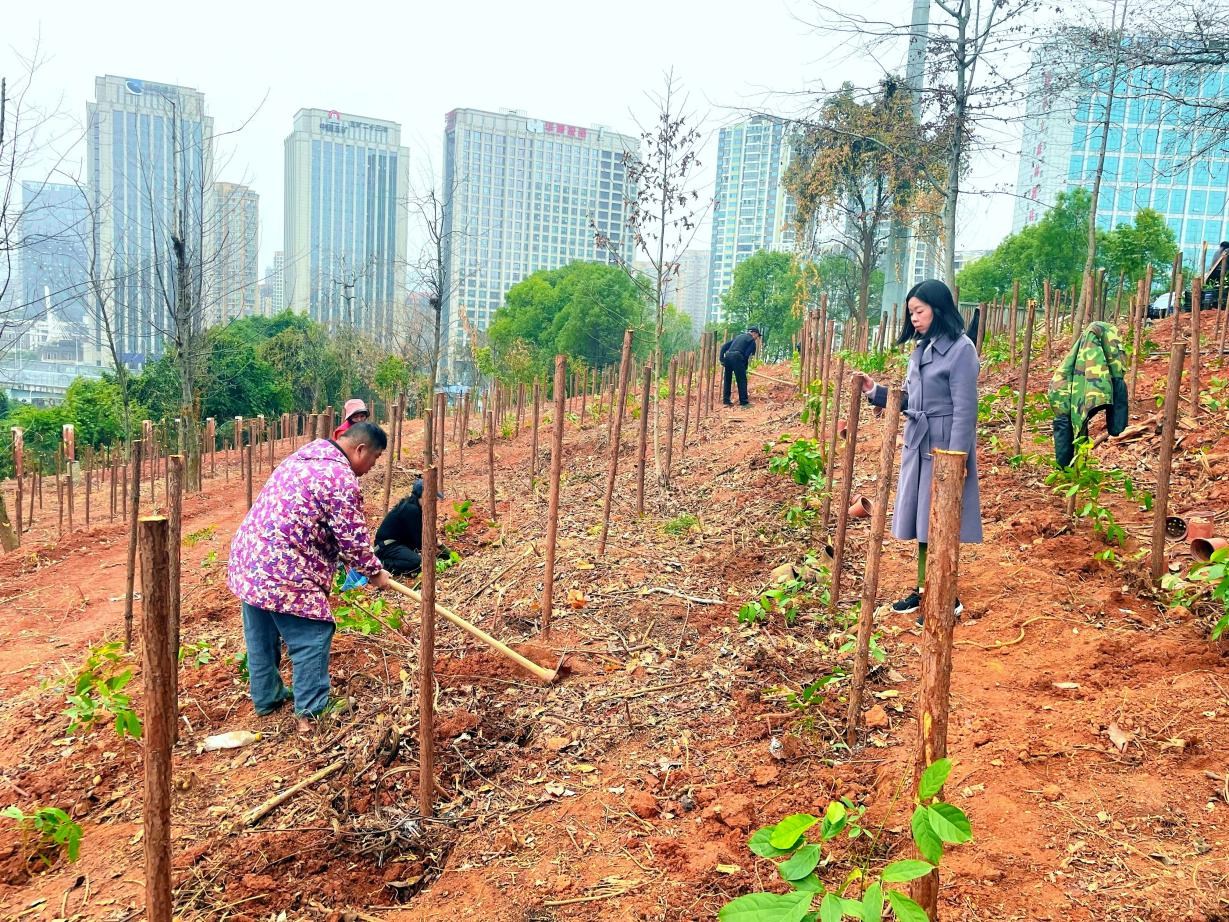 AG旗舰厅(中国游)官方网站