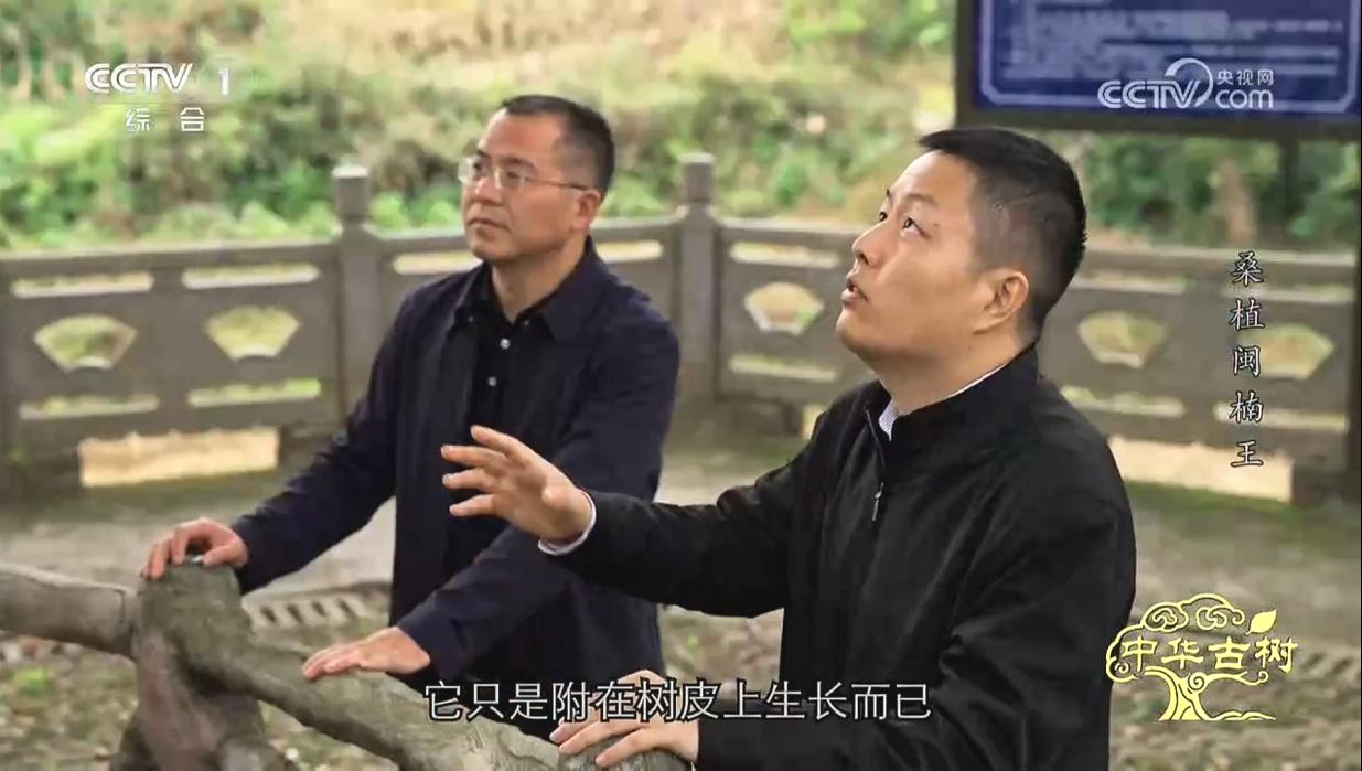AG旗舰厅(中国游)官方网站