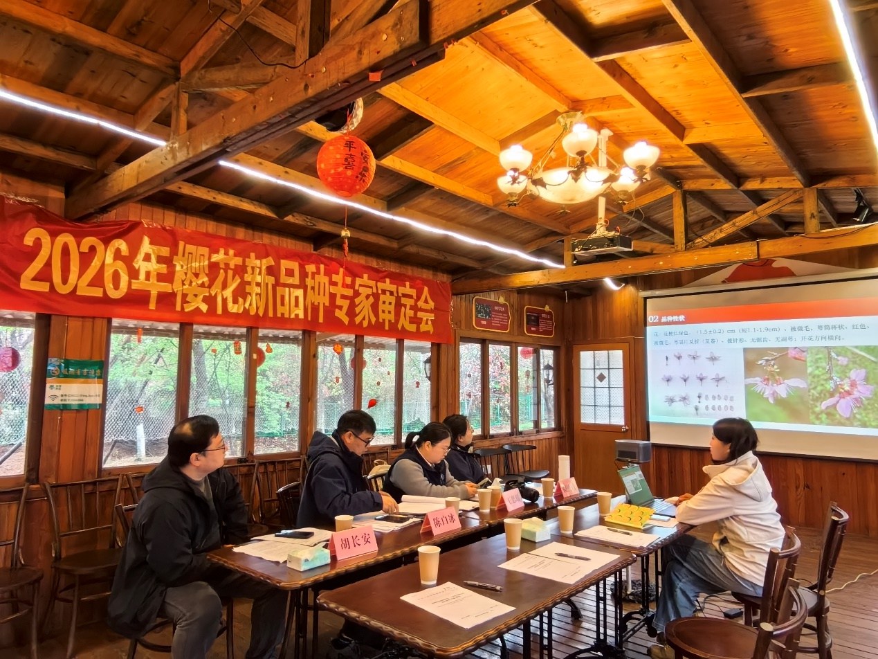 AG旗舰厅(中国游)官方网站